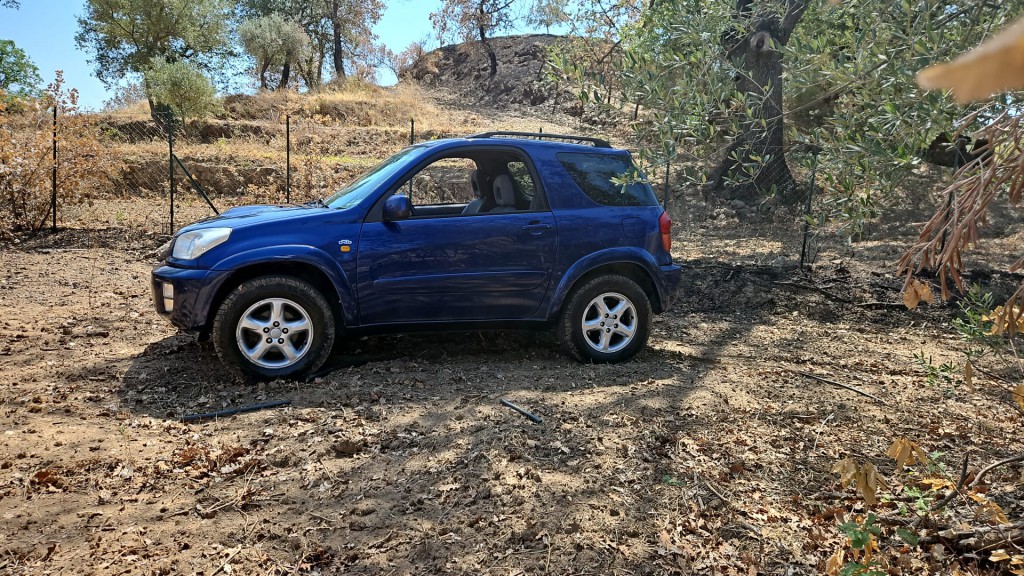 WhatsApp Image 2025-05-01 at 17.40.55.jpeg