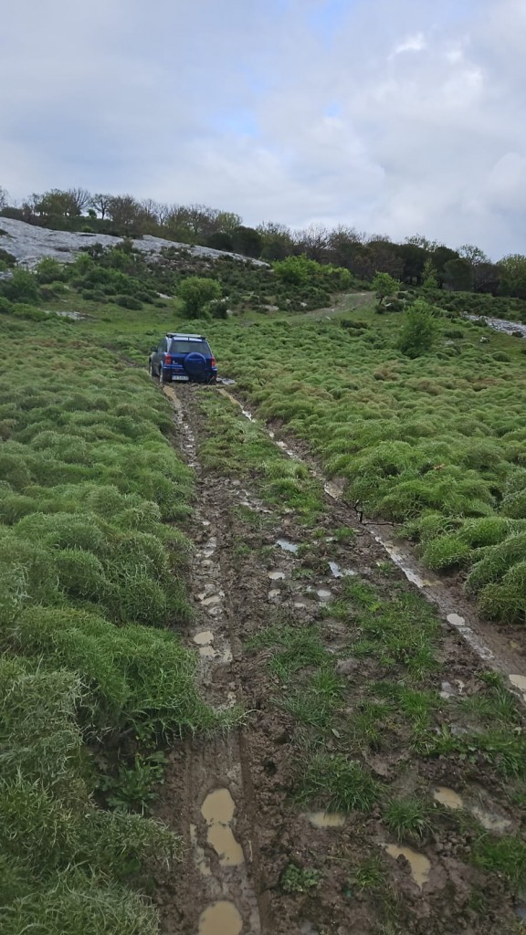 WhatsApp Image 2025-05-01 at 17.36.14.jpeg