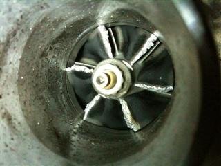 IMG_0029 (Custom).JPG